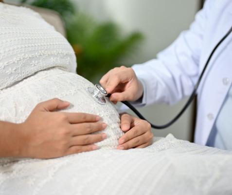 GP Shared Antenatal Care